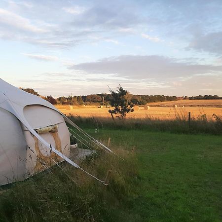 מלון Cawston Wild Retreat מראה חיצוני תמונה